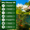 Aquatic Plant Soil for Water Lily & Lotus – Clay-Based, Nutrient-Rich Pond Plant Growing Medium, Ideal for Small Ponds &