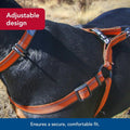 Coastal Pet K9 Explorer Reflective Adjustable Padded, 5/8" x 16" 24", Small