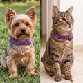 Cat Collar with Bell Pretty Girl Kitten Collar with Bells, Dark Purple XXS