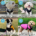 Gooby Fashion Vest Dog Jacket - Black, X-Large - Warm Zip Up Bomber Vest with Dual D Ring Leash - Winter Water Resistant Small Dog Sweater