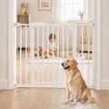 DUMOS 30-40.5" Baby Gate for Stairs & Doorways, Auto Close
