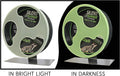 Exotic Nutrition Silent Runner Glow Wheel - 12" Regular - Silent, Fast, Durable Exercise Wheel - Sugar Gliders, Hamsters