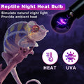 LUCKY HERP Reptile Heat Lamp 50W 2 Pack, Reptile Night Heat Bulb, Reptiles & Amphibians Basking Spot Light Bulb for Bear