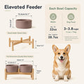 Havniva Ceramic Dog Bowls Elevated, Raised Dog Food Bowl for Small Dogs