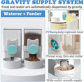 Kathson Gravity Auto Bunny Water Dispenser Automatic Rabbit Feeder