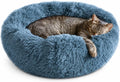 Whiskers & Friends Cat Beds for Indoor Cats & Small Dog, Fluffy Cat Bed