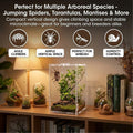 Acrylic Jumping Spider Enclosure: Arboreal Tarantula Enclosure