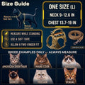 nanappice Tactical Cat Harness and Leash for Walking Esacpe Proof,Adjustable Soft Mesh Large Cat Vest with Rubber Handle Easy to Control,Molle Patches
