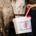 MVP Exceed 6-Way High Level Performance Horse Support Pellets. Joint, Hoof, Hair, Gastric, Digestion and Muscle Support.