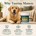 Taurine for Dogs, Taurine Powder for Dogs, Taurine Supplement Support Vision, Heart & Immune, 100 Grams (1)