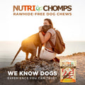 NutriChomps Dog Chews, 6-inch Twists, Easy to Digest, Long Lasting, Rawhide-Free Dog Treats, 15 Count, Real Chicken flavor