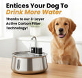 Wireless Dog Water Fountain, Large 4L (135oz)