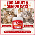 Jakkies NAD+ Support Chews for Cats