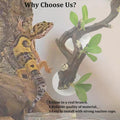 PINVNBY 2 PCS Reptile Corner Branch Terrarium Plant Decoration Branches for Reptiles with Suction Cup for Amphibian Liza