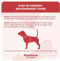 Downtown Pet Supply Step-in Dog Harness – No Pull, Adjustable Padded Mesh with Reflective Trim, Secure Buckle Strap – Co