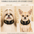 Dog Wedding Collar & Pearl Leash Set for Small Dogs, Black Gold