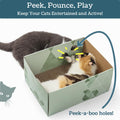 No-Mess Cardboard Cat Scratcher Box - Refillable Double-Sided Scratch Pad