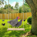 2pcs Chicken Toys, Chicken Swing Toys and Chicken Toys Xylophone