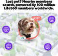 Life360 Pet GPS Tracker for Dogs | Live Tracking, Escape Alerts & Lost Pet Network | Up to 14 Days Battery | 12-Month Si