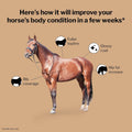 Formula 707 Weight Gain Crumble for Horses, 7 lb – Calorie-Rich Support