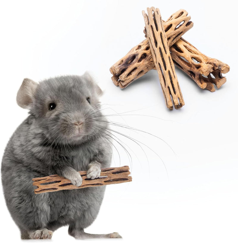 SubstrateSource Natural Cholla Wood - Driftwood for Aquariums, Air Plant Base, Hermit Crab and Freshwater Shrimp Hideout