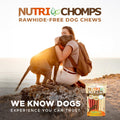 Nutri Chomps Dog Chews, 5-inch Twists, Easy to Digest, Rawhide-Free Dog Treats, 15 Count, Real Chicken, Peanut Butter and Milk flavors