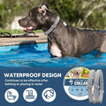 Flea Collar for Dogs, Flea and Tick Collar for Large Dogs, Comfort Fit for Sturdy Dog Flea Collar, Adjustable Tick Dog C