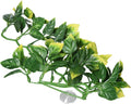 Hagen Exo Terra Plastic Terrarium Plant, Small, Amapallo