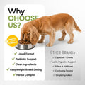 Dog Yeast Infection Treatment, Itching Supports Ear Skin Paw