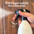 Formula 707 Fly Deny Spray for Horses & Ponies, 32 oz – 14-Day Protection