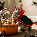 LESYPET Cat Halloween Costume Vampire Cape Pet Halloween Devil Cloak Cosplay for Kitten