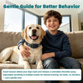 Citronella Bark Collar for Dogs, 3 Spray & 3 Sensitivity, No Spray Refil