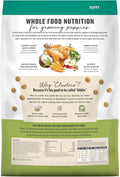 The Honest Kitchen Puppy Grain Free Chicken & Superfoods Whole Food Clusters for Puppies, Vet Crafted Human Grade Dry Do
