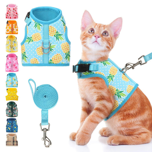 BINGPET Cat Harness and Leash Set Escape Proof, Fashionable Adjustable Mesh Harness for Walking, Soft Cute Breathable Easy Control Cat Vest for Kitten Puppy Small Medium Large Cats