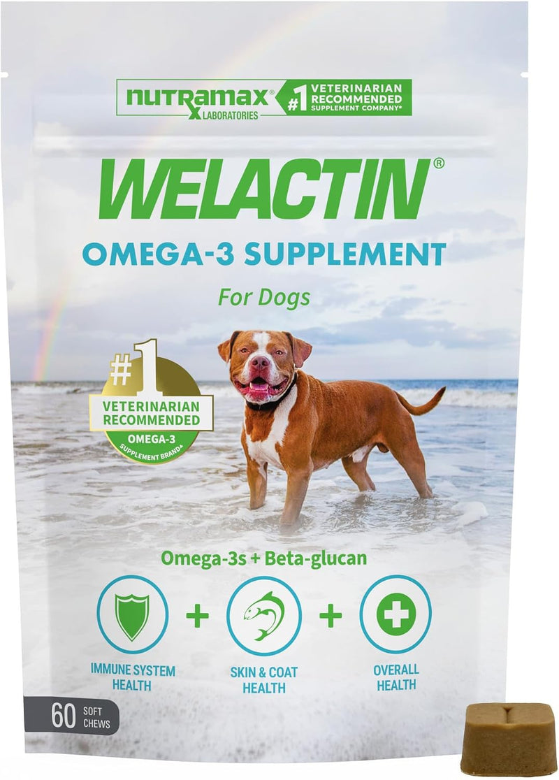 Nutramax Welactin Omega 3 Fish Oil for Dogs, Skin and Coat Health Supplement, Plus Joint, Immune, Kidney, and Brain Support, Premium Omega 3 Fatty Acids, For Dogs, 16 Ounce Liquid