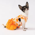 Fitwarm Pumpkin Flower Dog Dress, Thanksgiving Outfit for Small Dogs Girl, Fall Pet Outfit, Beige, Orange, Small