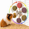 C-LIGHT Guinea Pig Chew Toys, Rotating Spinner + 8 Pcs Timothy, 5 Veggies