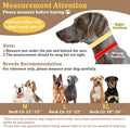 Mayerzon Martingale No Pull Dog Collar, Reflective Walking Collar for Large