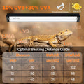 T5 10.0 UVB Reptile Light Fixture Combo Kit 24W 22'', with UV Sensor Card