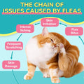 Woyamay Flea Treatment for Cats & Itch Relief Chews, 500 Crunchy Cat Flea Treatment Chews, Cat Itchy Skin Relief, Cat Itching Relief & Skin Care, Flea Prevention for Cats, Chicken Flavor