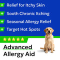 BARK&SPARK Dog Allergy Relief Soft Chews for Skin Health & Seasonal Allergies - Anti-Itch Supplement w/Omega-3, Quercetin & Bromelain Immune Treats for Dry Skin & Hot Spots - BBQ Chicken - 60ct