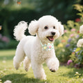 10PCS Cute Flower Dog Collar Charms, Adjustable Small Medium Dog Bow Tie Collars, Pet Bowties & Dog Grooming Accessories for Dogs Cats (Style A)