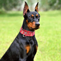 Wide Martingale Collar for Dogs,Red Floral No Pull Dog Collar for Large Dog