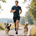 Hands Free Dog Leash for 2 Dogs Up to 250 lb, Waist Pouch, Lumbar Support