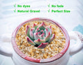 Boniosz 2.4lb 3-5mm Silica Horticultural Sand Grit for Plants & Succulents