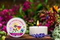 Hollyberry Mini Candles Plant-Based Wax, 3 Pack Pet House