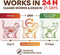 Tapeworm Dewormer for Cats & Kittens (6+ Weeks), Praziquantel Tablets, Tapeworm Treatment for Cats, Small & Easy to Administer, 20 Count
