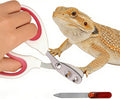 Bearded Dragon Nail Clippers & File, Stainless Steel, Reptile Grooming