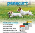 Panacur C Canine Dewormer Treatment Three 1-Gram Packets, Each Packet Treats 10 lbs