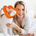 4 Pieces Cat Recovery Collar Cat Cones Flower Shape Pet Anti-bite Lick Wound Healing Safety Elizabethan Neck E Collar Ad